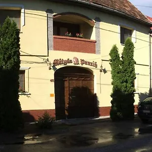 https://matyas-panzio.szeged-hotels.com